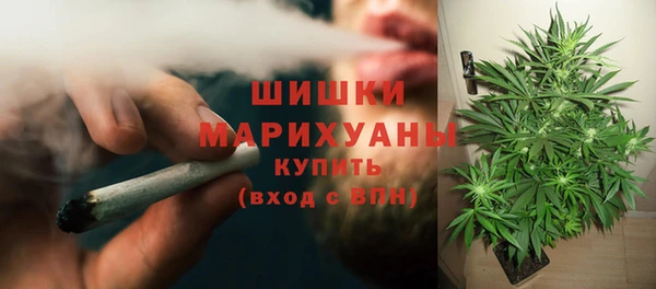 мдпв Горнозаводск