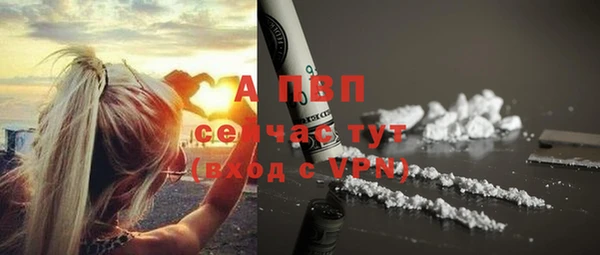 мдпв Горнозаводск