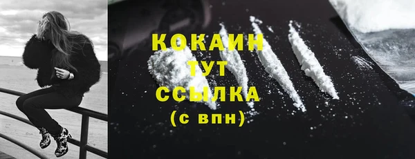соль ск Горняк