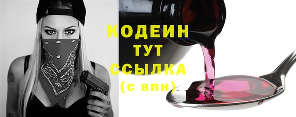 мдпв Горнозаводск