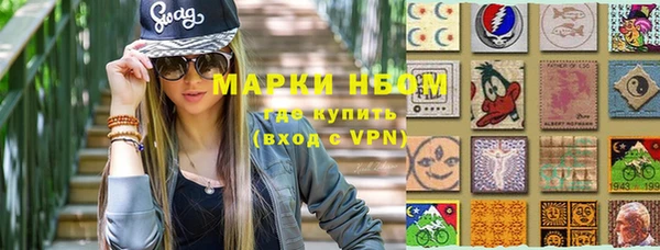 мдпв Горнозаводск